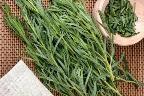 خرید و قیمت سبزی ترخون خشک + فروش عمده